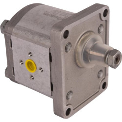 Pompe GOLDONI 02030140