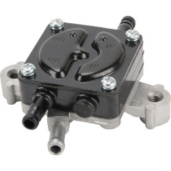 Pompe BRIGGS ET STRATTON 84003048