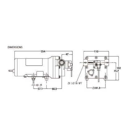 Pompe SHURFLO DIP50501310D011