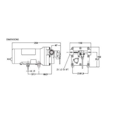 Pompe SHURFLO DIP50501310H011