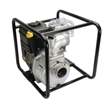 Pompe BRIGGS ET STRATTON WP365