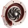 Pompe CASE IH 3136217R93