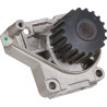 Pompe LOMBARDINI 6584439