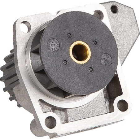 Pompe LOMBARDINI 6584439