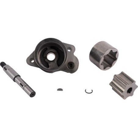 Pompe SDF 004015246