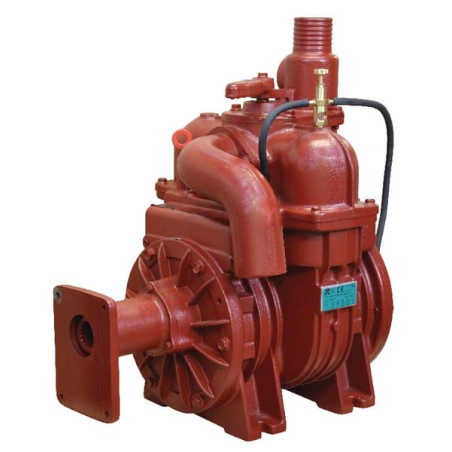 Pompe BATTIONI PAGANI MEC5000H
