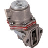 Pompe GOLDONI 0L6585139