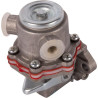 Pompe GOLDONI 0L6585139