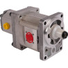 Pompe GOLDONI 02030330
