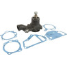 Pompe MASSEY FERGUSON 3641832M91
