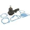 Pompe MASSEY FERGUSON 3641832M91