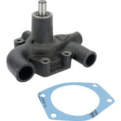 Pompe MASSEY FERGUSON 3641823M91