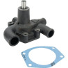 Pompe MASSEY FERGUSON 3641823M91