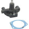 Pompe MASSEY FERGUSON 3641823M91