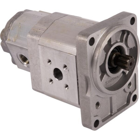 Pompe GOLDONI 00039286