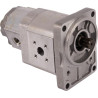 Pompe GOLDONI 00039286
