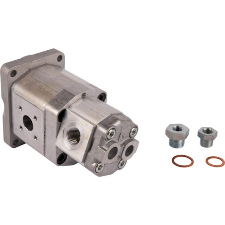 Pompe GOLDONI 00039286