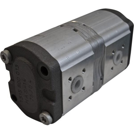 Pompe SDF 245398600