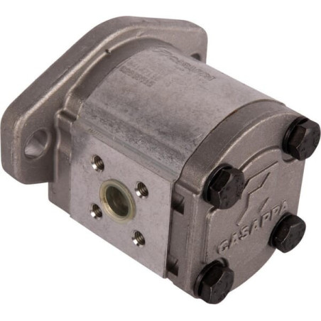Pompe GOLDONI 02030515