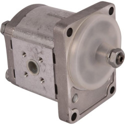 Pompe GOLDONI 02030345