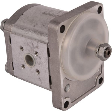 Pompe GOLDONI 02030345