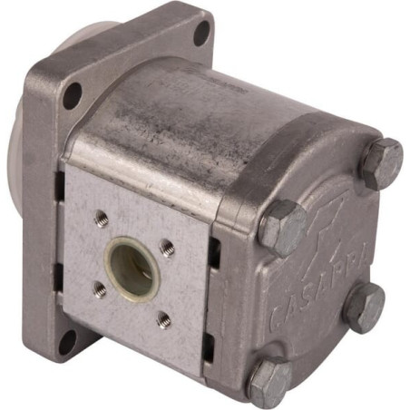 Pompe GOLDONI 02030345