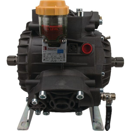Pompe BERTOLINI 37506597B