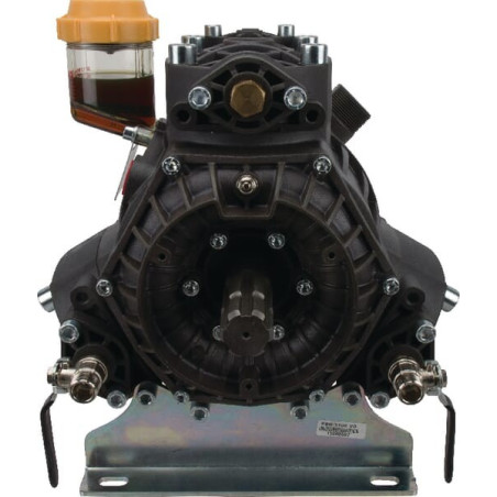 Pompe BERTOLINI 37511197B