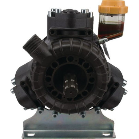 Pompe BERTOLINI 37511197B