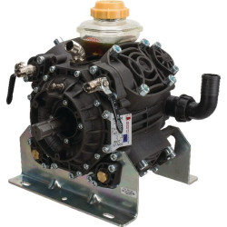Pompe BERTOLINI 41711297B