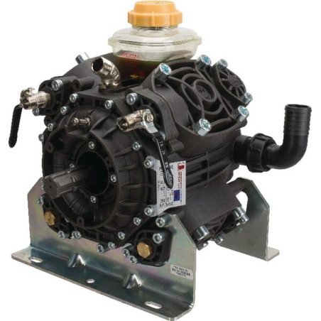 Pompe BERTOLINI 41711297B