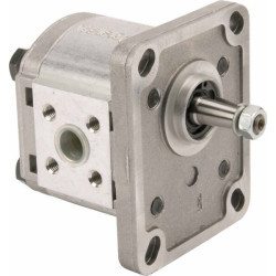 Pompe CASAPPA PLP1015D081E1