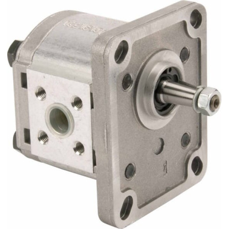Pompe CASAPPA PLP1015D081E1