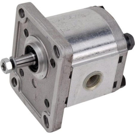 Pompe CASAPPA PLP104D081E1G