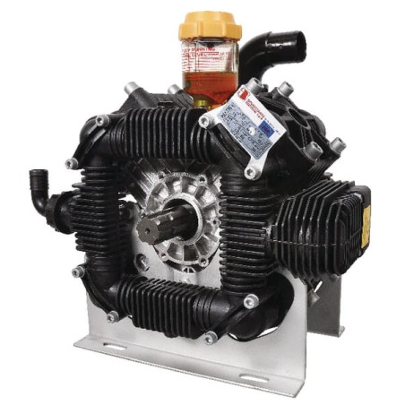 Pompe BERTOLINI 289220973VD