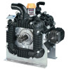 Pompe BERTOLINI 289220973VD