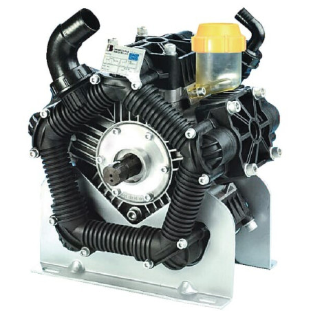 Pompe BERTOLINI 556000973VD