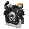 Pompe BERTOLINI 556000973VD
