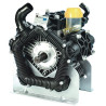 Pompe BERTOLINI 557000973DS