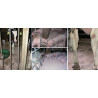 Poudre hygiénique 25Kg FARMA 406001FA