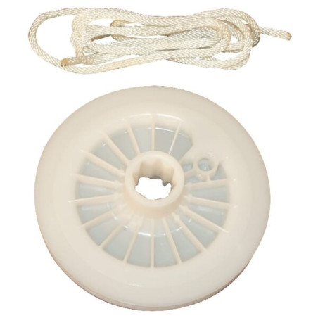 Poulie BRIGGS ET STRATTON 295871