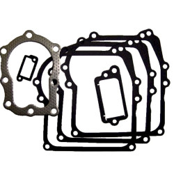 Joints moteur Briggs & Stratton 391662