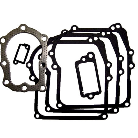 Joints moteur Briggs & Stratton 391662