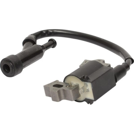Poussoir BRIGGS ET STRATTON 691793