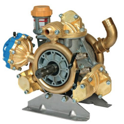 Pompe à piston BERTOLINI 486050973VD