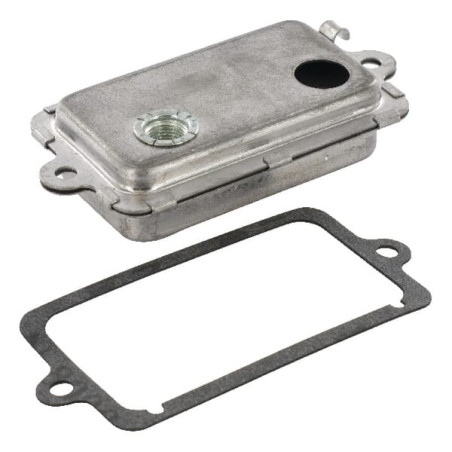 Purgeur BRIGGS ET STRATTON 495734