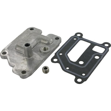 Purgeur KOHLER 2403301S