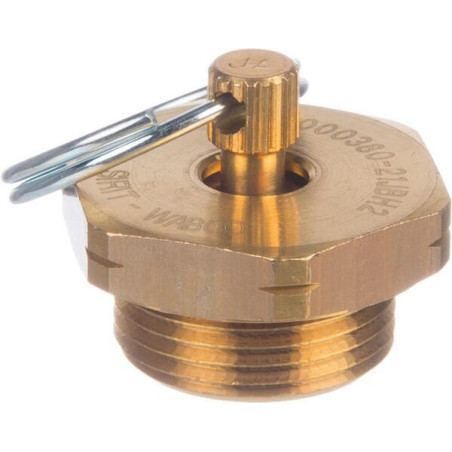 Purgeur WABCO 9343000380