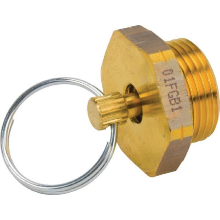 Purgeur d'eau HALDEX 315019031