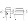Raccord à sertir GATES 12G22FDLORX